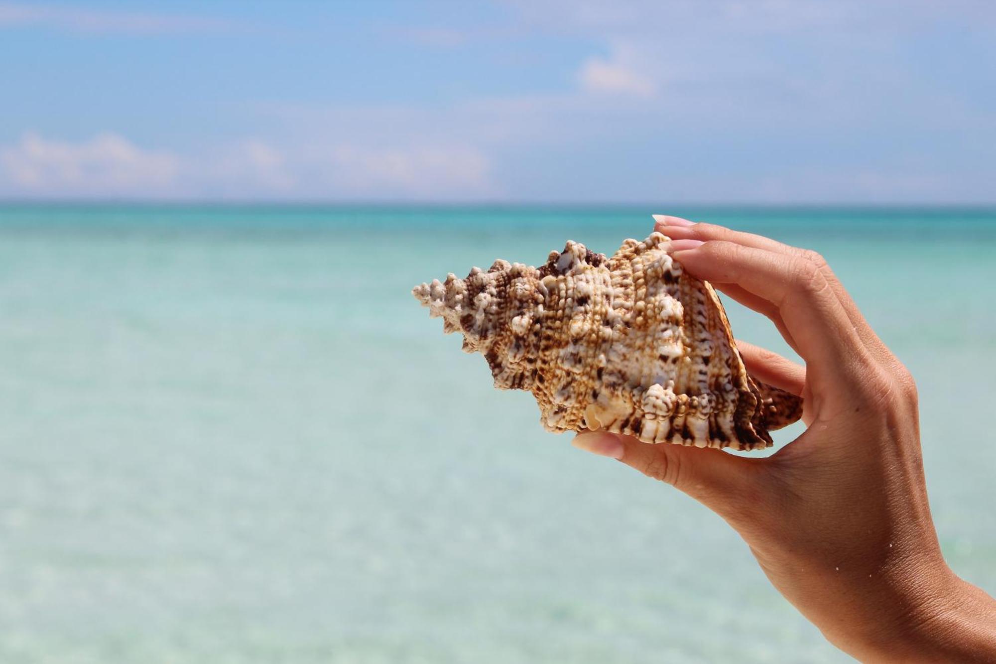 Mamello Beach Club Maldives Feridhoo Екстер'єр фото