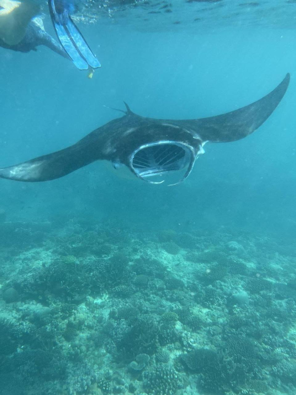 Mamello Beach Club Maldives Feridhoo Екстер'єр фото