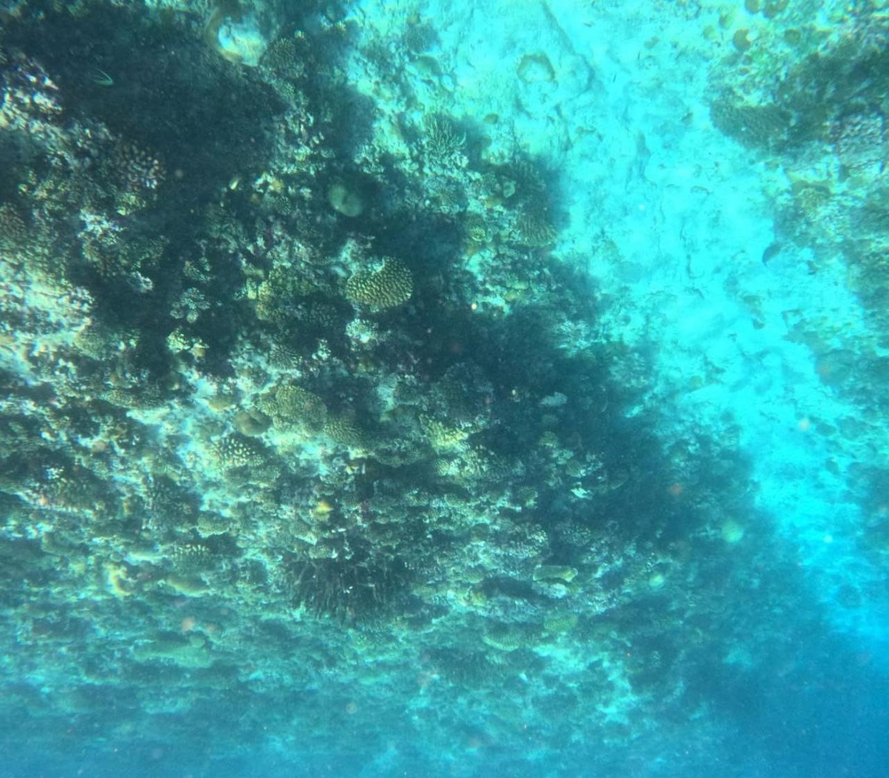 Mamello Beach Club Maldives Feridhoo Екстер'єр фото